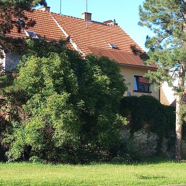Honč Třebíč 1